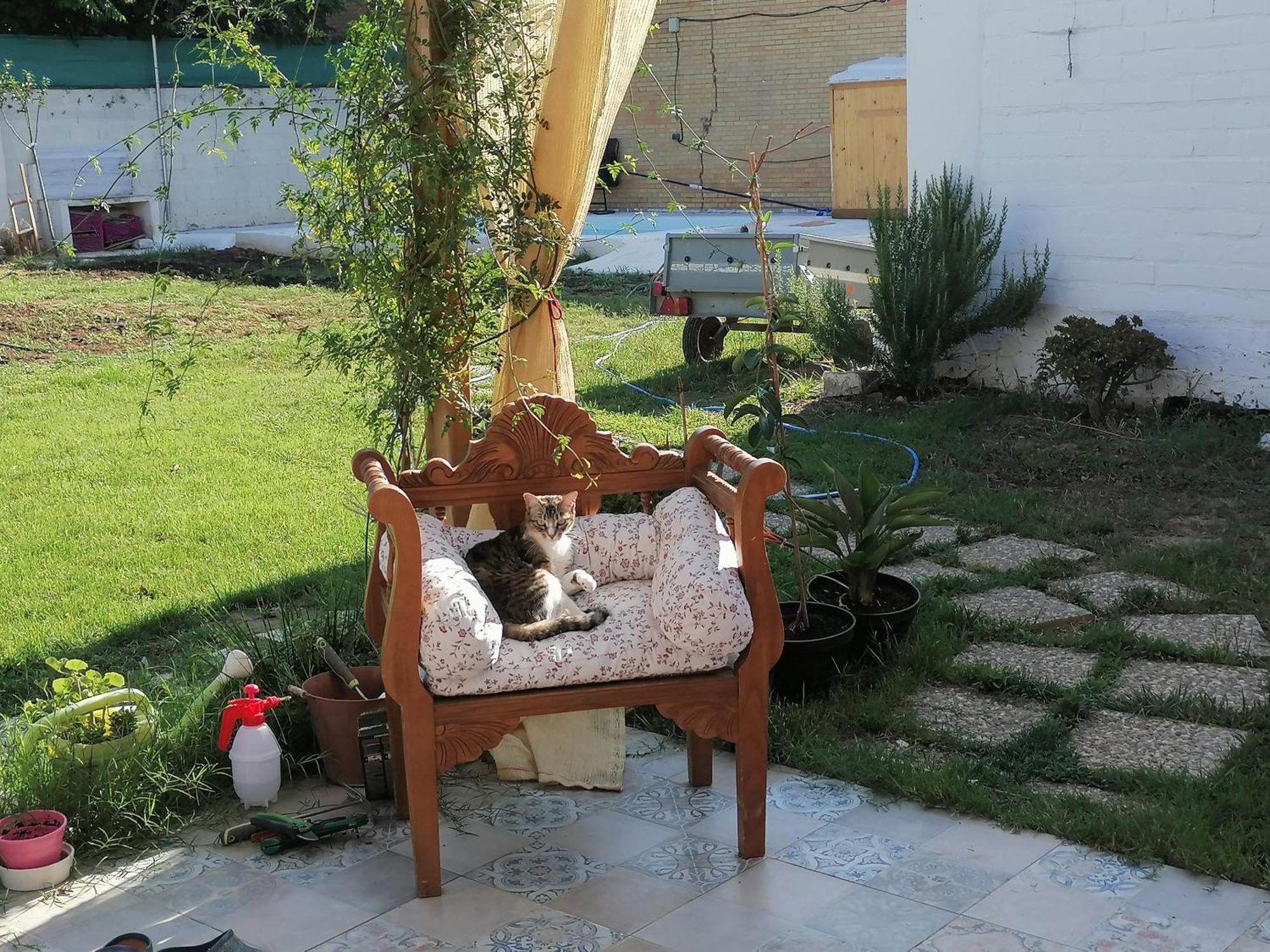 Cabana El Salto Del Duende Villa Carrion de Los Cespedes ภายนอก รูปภาพ